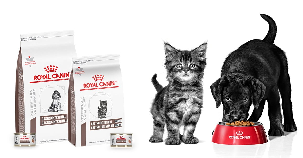 royal canin