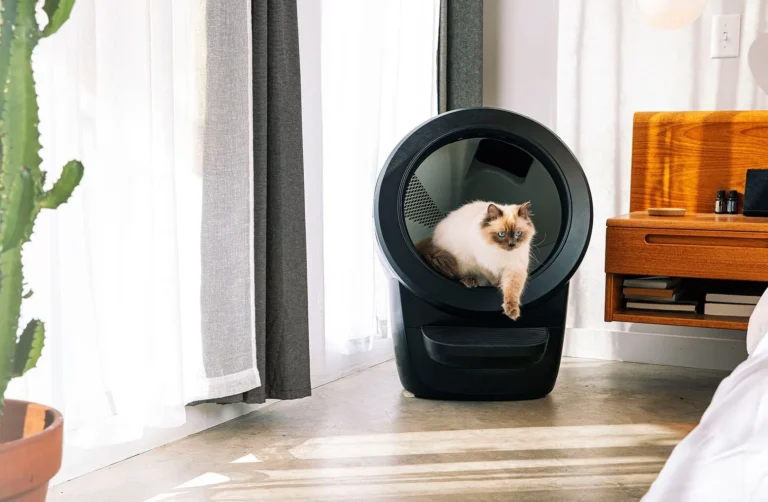 Self-Cleaning cat Litter Boxes