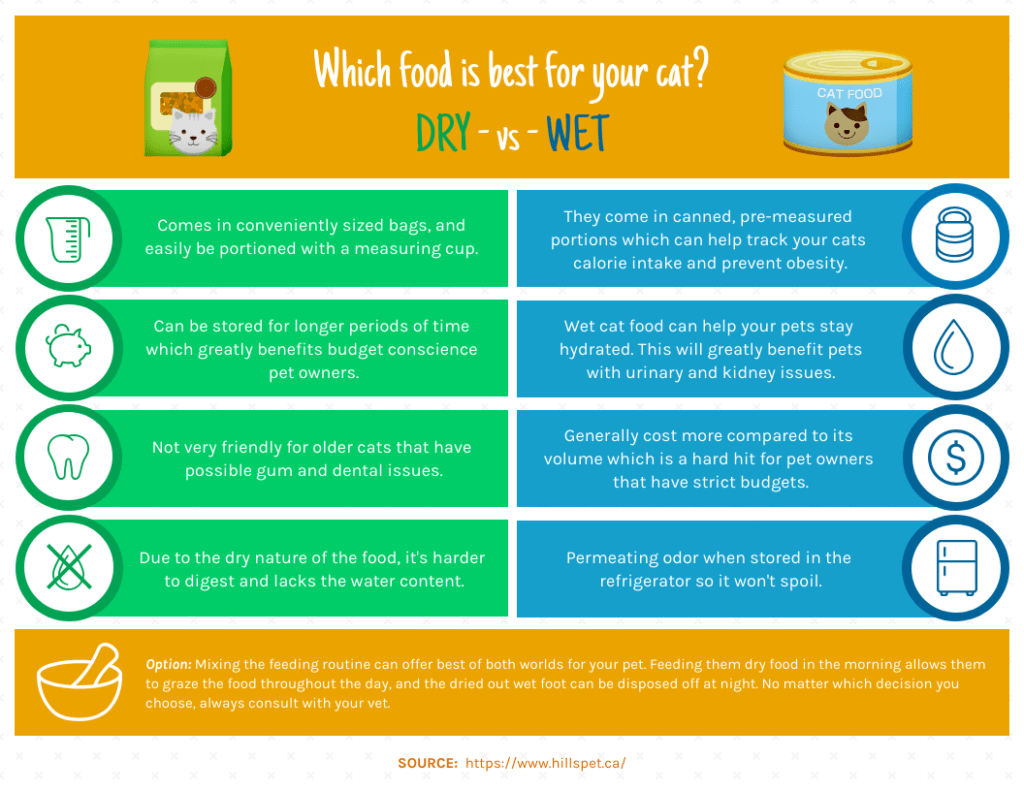 dry or wet cat food